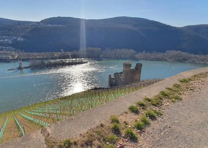 Birkennest Apartamento Bingen am Rhein